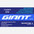 Giant Store De Carvalho